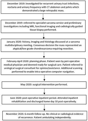 Case Report: Reconstruction After Anterior Pubic Hemipelvectomy